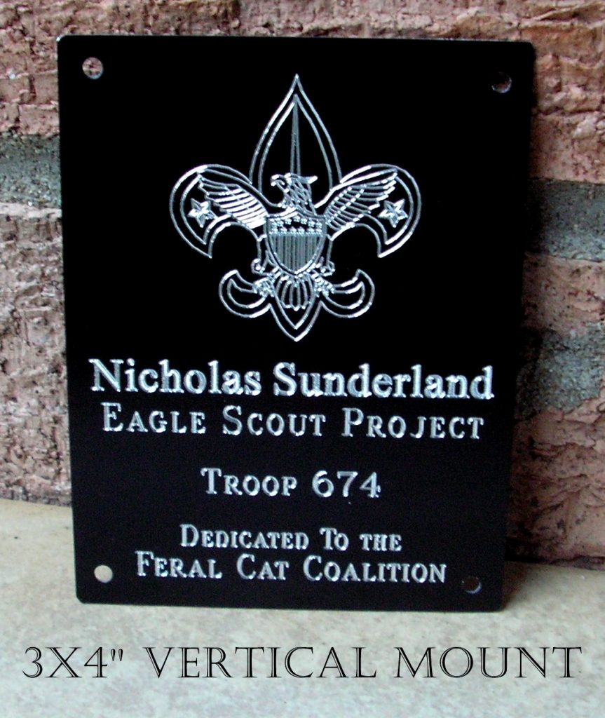 Eagle scout project post plate for 4" post.  screw mount, engraved for vertical mount, 3x4"